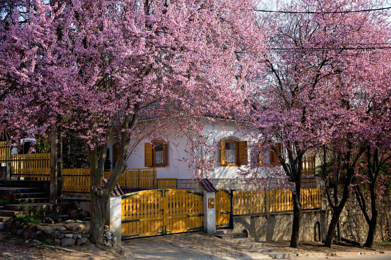 Apartman Antalóczy Tokaj